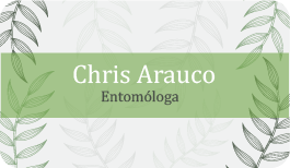 Recurso 33
